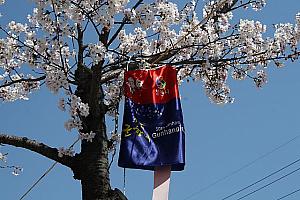 写真で見る第50回鎮海軍港祭【２０１２年】 鎮海 鎮海軍港祭 桜桜スポット
