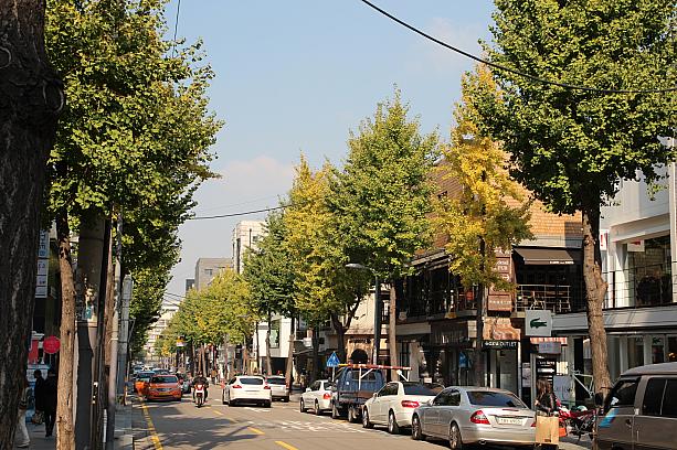 カロスキルは「街路樹通り」というだけあって、街路樹がとってもキレイ。ここ数日はイチョウ並木が黄色く色づいてきて、とってもいい感じ～。