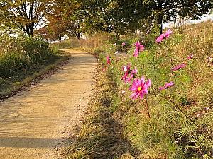 ソウルでジョギング～漢江公園を走ろう！