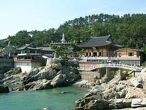 釜山＆慶州を巡る、春のおすすめツアー！