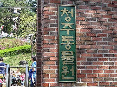 地方の動物園、清州動物園に行ってきました！！ 動物園 清州 地方 忠清北道 地方の動物園 韓国の動物園 地方の珍しいスポットドラマロケ地