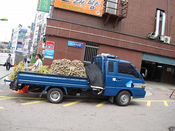 その正体はコレ！こんな風にナゾの植物が山積みにされたトラックがここにも、