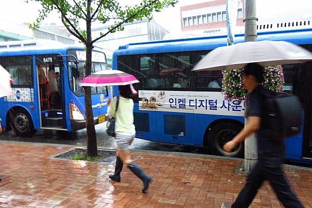 雨が降ってもバスが来たら走っていかなきゃ！韓国のバスは停留所にやってきてもすぐ出発しちゃうんです・・・