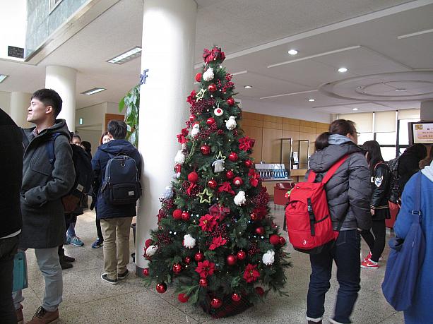 韓国語学堂の中にもクリスマスツリーが！こっちの方が飾りがたくさんあってかわいい！？