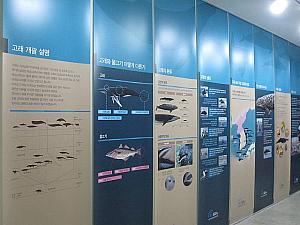 ソウル郊外は板橋（パンギョ）に誕生した全く新しいタイプの水族館に行ってきました！ 水族館 デジタルパーク ブンダン パンギョ４Ｄ