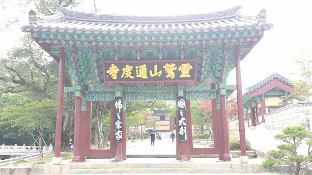 ここは釜山近郊の通度寺！
