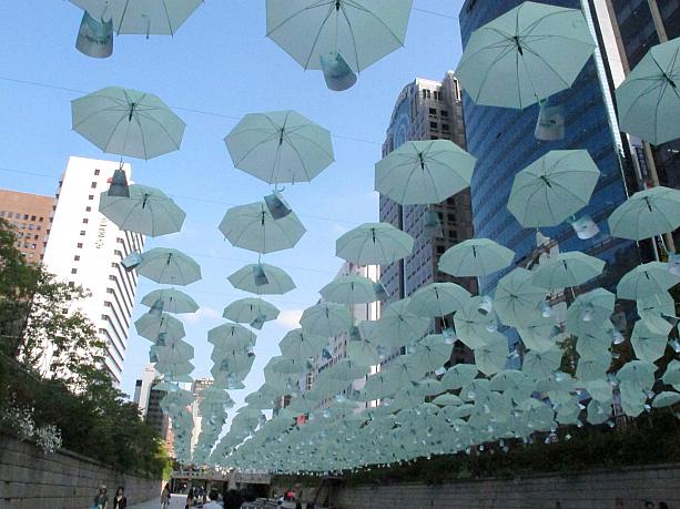 清渓川にはたくさんの傘が！