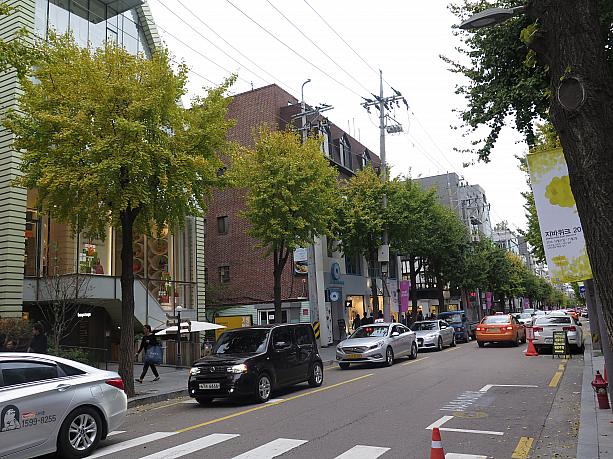 ソウルでおしゃれな街、カロスキル。通りのイチョウ並木も黄色くなり始めてる！