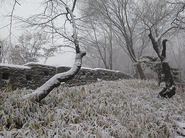 雪が積もった木々に城郭。なんとも言えない美しさ！