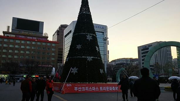 釜山駅前の広場には大きいクリスマスツリーが登場です！