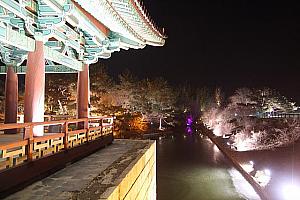 地元の人が選ぶ慶州の夜景、ベスト３！ 慶州 夜景 新羅 善徳女王 韓国歴史 世界遺産 ユネスコ 釜山近郊夜景スポット