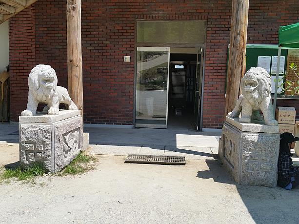 日本の神社は狛犬（こまいぬ）さんだけど、韓国のお寺はライオンなの？！