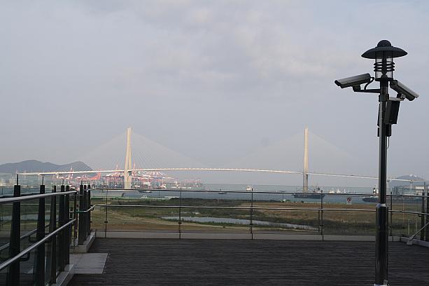 目の前には釜山港大橋が！