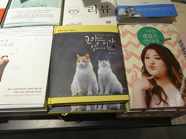 韓国で初めて見つけた猫の本！猫好きが確実に増えている？