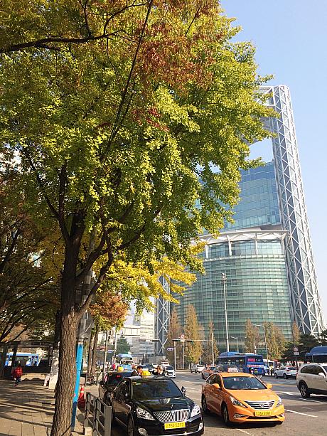 ソウルの都心部には美しい街路樹がたくさん！この時期のソウル、かなりオススメです。