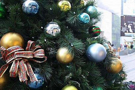 12月の釜山【2015年】 クリスマス １２月 冬の釜山 初日の出 除夜の鐘 新年２０１６年