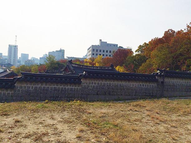 背景の紅葉がゴージャスな慶煕宮の塀沿いに歩いて・・・