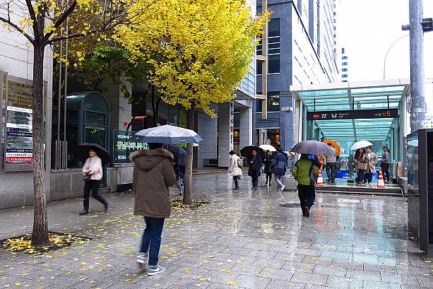 色づいた街路樹の葉っぱもだいぶ散っています。落ち葉で滑らないようにご注意を！そして雨の日は、地下街でぶらぶらしてみるのも～！？