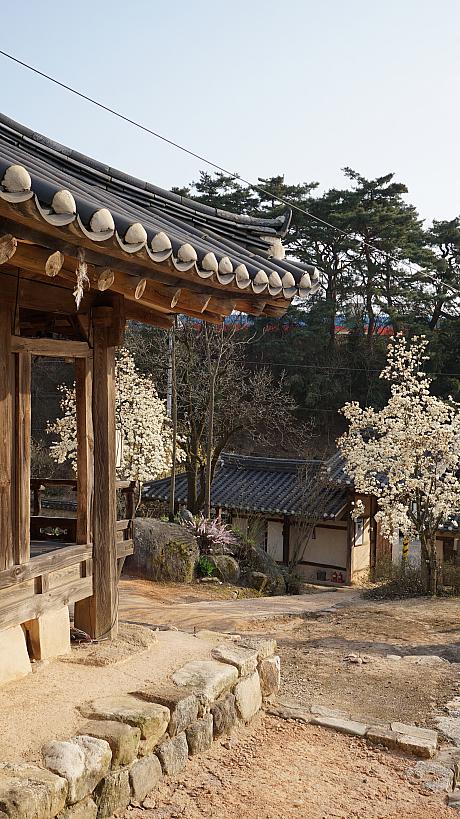 18世紀に建てられた韓屋（韓国の伝統家屋）。