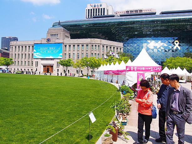 こちら市庁前のソウル広場。ただいま芝生造成中で立ち入ることはできませんが、青々としてとっても綺麗！