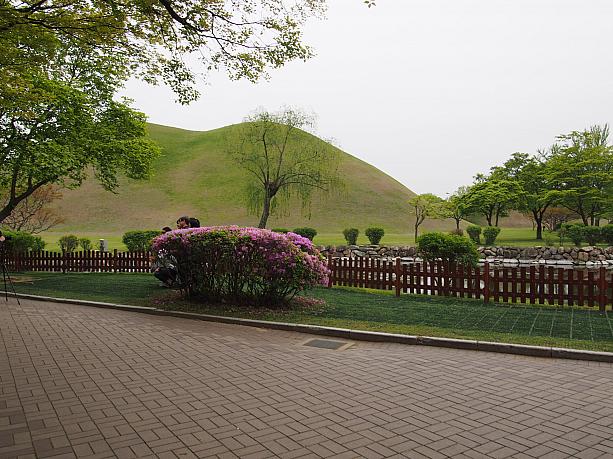 「皇南大塚（ファンナムテチョン）」慶州市内でも最大規模の古墳で、ふたつの古墳がくっついた形をしているのが特徴