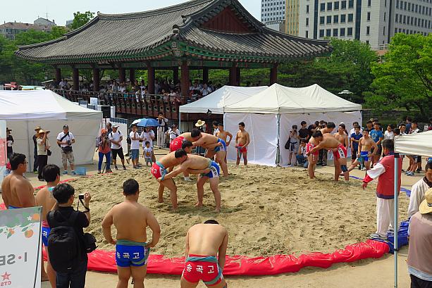 そして、シルム！韓国の相撲のような競技です。