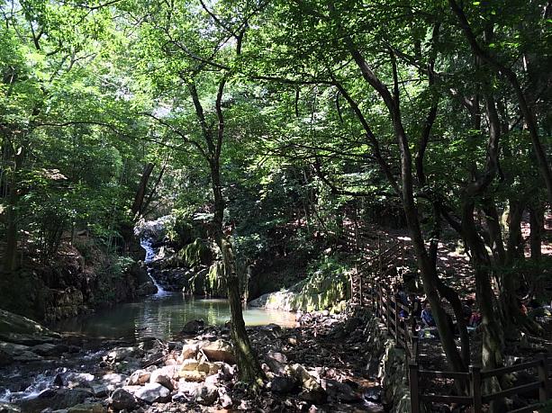 釜山のど真ん中にある、自然がいっぱいのオリニ大公園！
