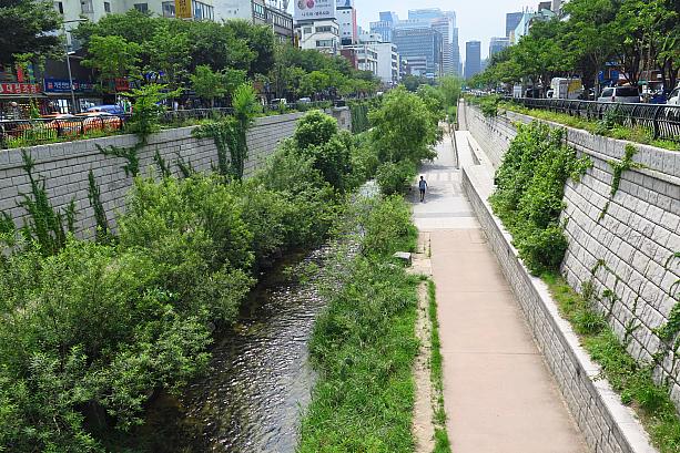 緑生い茂る夏の清渓川も、こんな日の午後は散策する人の姿はあまり見えず・・・