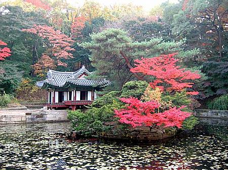 10/21-11/20、古宮や朝鮮王陵の紅葉が見頃に。 古宮 紅葉 ソウルの紅葉ソウルの古宮
