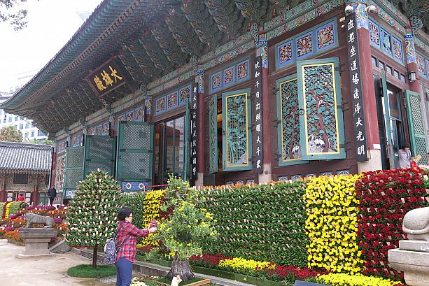 本堂も菊で飾られています。日本のお寺の建物とはずいぶん雰囲気の違う、韓国の仏閣。