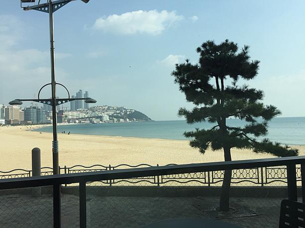 寒いけどいいお天気の釜山！海雲台ビーチが一望できるカフェでお茶はいかがですか？