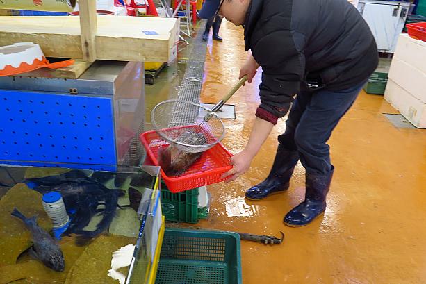 お魚は水槽から１匹買い！こちらはなるべく大勢で来たほうが、市場の海鮮グルメを十分に堪能できます。