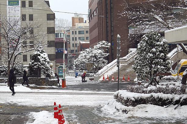 いつもの風景が銀世界に。日本でも雪が降ったり、また今でも降っていたりするところが多いのでは？！