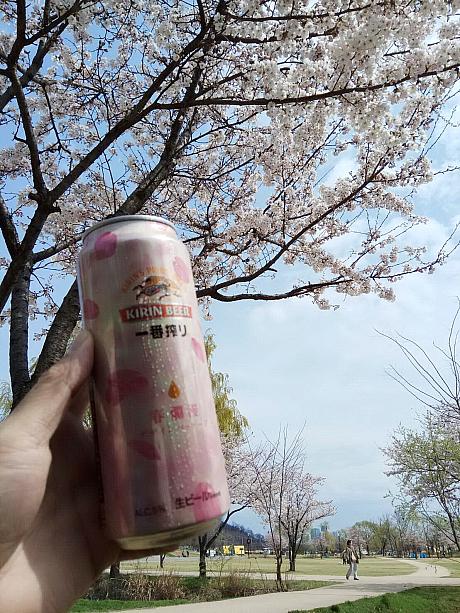 もちろんソウルでは他の場所でも桜がキレイに咲いています！こちらは蘭芝漢江公園。汝矣島（ヨイド）や、蚕室（チャムシル）の石村湖もオススメですよ！