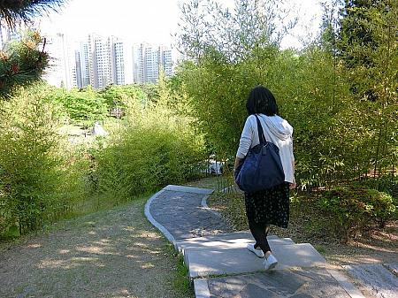 『粤華苑』→公園への竹林
