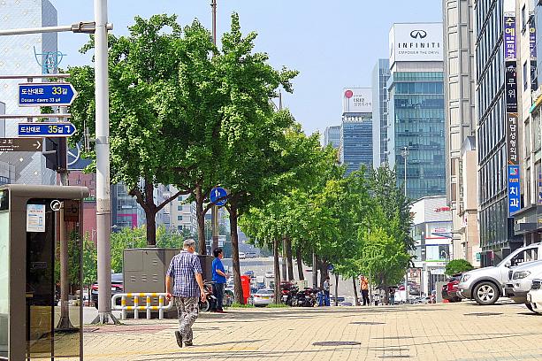 暑さが去って、今日もソウルは爽やかな風が吹いています。心なしか街路樹の銀杏がすこーし黄色く色づき始めているような？！