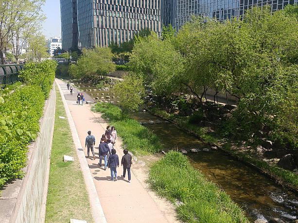 気持ちのよう春日和を楽しむなら清渓川でお散歩！！