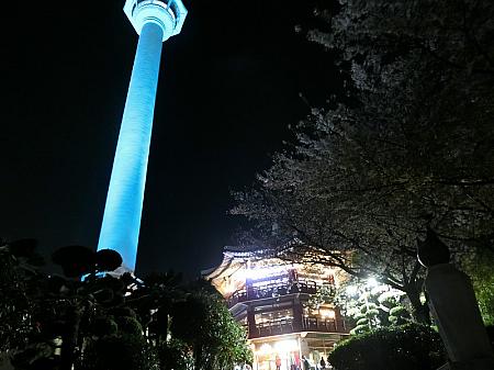 ブルーの『釜山タワー』