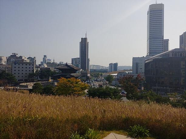 秋らしい風景を見ながら、ソウルのお散歩観光はいかがですか？
