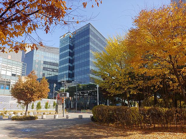 こちらはDMC。ソウル市内とは思えないほど自然いっぱいで紅葉が楽しめます。