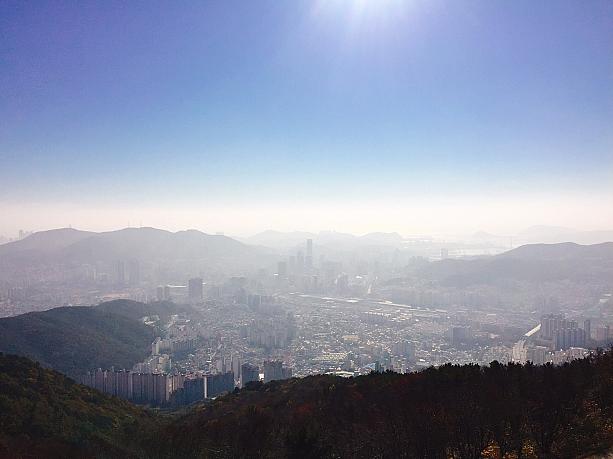 釜山の街で秋を見つけよう！