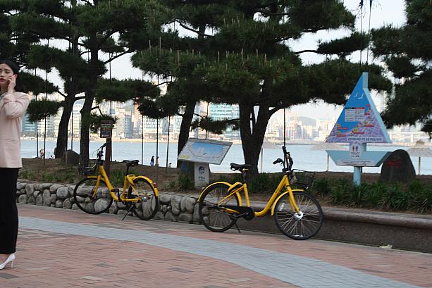 ＯＦＯと呼ばれる黄色い自転車。観光客が利用するのは難しいですが、乗り捨て自転車ということで、今後、観光客も利用できることを期待したい自転車！！交通手段もググッと楽になるかも！
