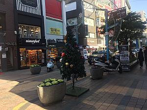 写真で見る第11回釜山クリスマスツリー文化祭り クリスマスツリー