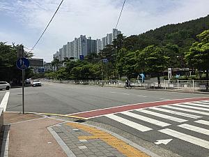  写真で見る新型コロナウィルスと共存する６月の釜山の様子。新型コロナウィルス