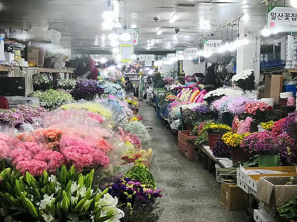 売り場に入ると、季節の花の香りが漂います。