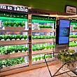 屋内スマートファーム（デジタル管理化して野菜を栽培）を設置し販売中。