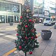 写真で見るクリスマスツリー文化祭り！【２０２３年】釜山でクリスマス