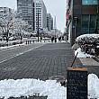 大通りには雪の影響はなし。今年は良く雪が降っているソウルです。