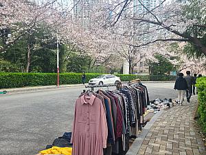 桜の下では服を売っていますよ！
