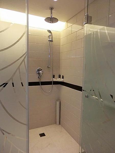 シャワーブース。レインシャワーと手持ちシャワーが付いています